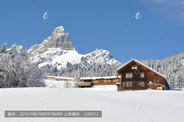 阿爾卑斯風(fēng)景