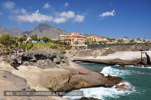 Costa,Adeje巖石海岸特內(nèi)里費島；金絲雀。