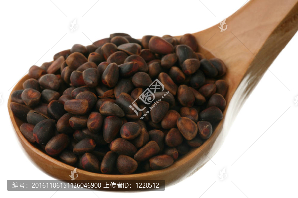 雪松堅(jiān)果