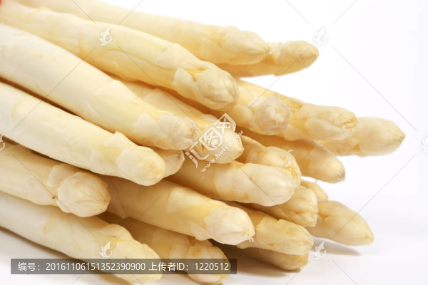 白蘆筍