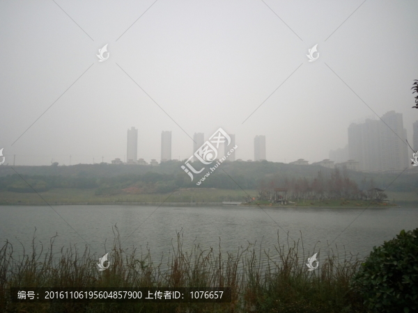 城市公園