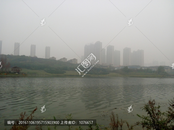城市公園