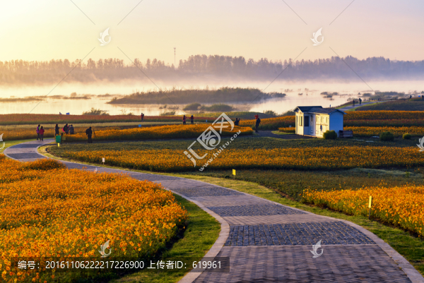 花海