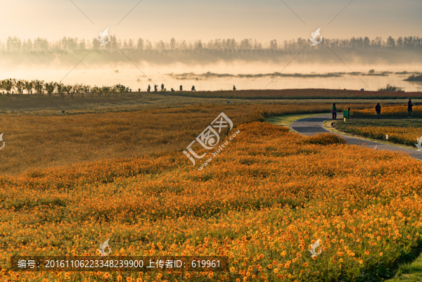 花海