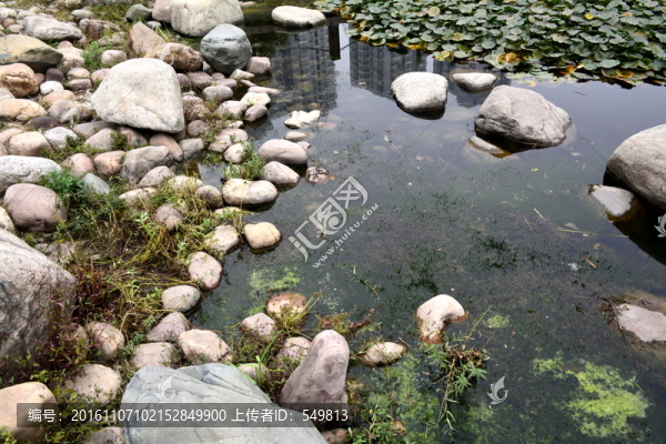 石家莊花卉園