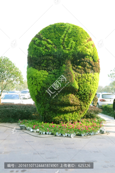 花卉臉譜
