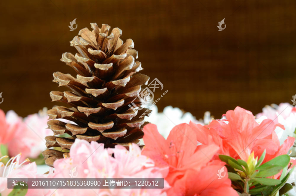 松果和Flowers