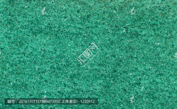 泡沫橡膠宏觀的綠色質(zhì)感
