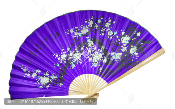 紫色的中國粉絲