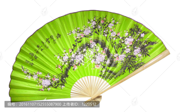 綠色的中國粉絲