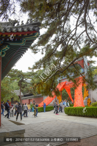 北京香山秋景
