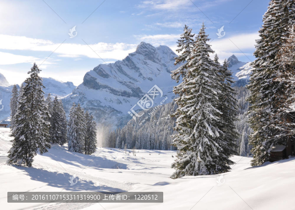 Braunwald；瑞士著名的滑雪勝地
