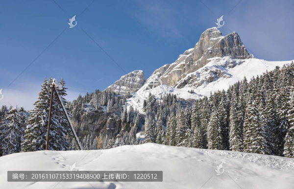 Braunwald；瑞士著名的滑雪勝地