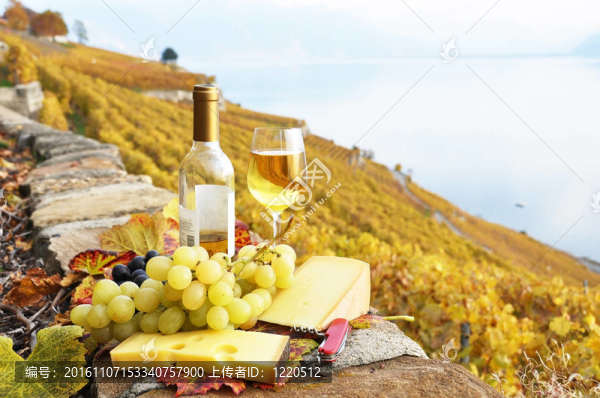 葡萄酒和奶酪在Lavaux地區(qū)的梯田葡萄園玻璃；瑞士