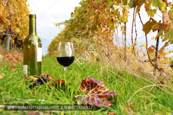 Lavaux地區(qū)的葡萄園之間酒瓶和酒杯；瑞士