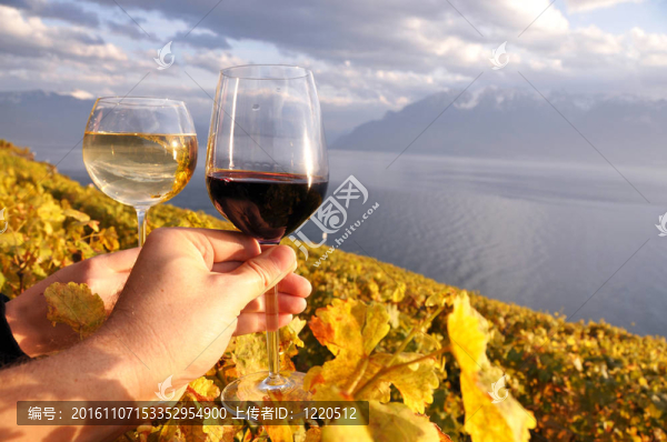 雙手拿著wineglases對(duì)Lavaux地區(qū)的葡萄園；瑞士