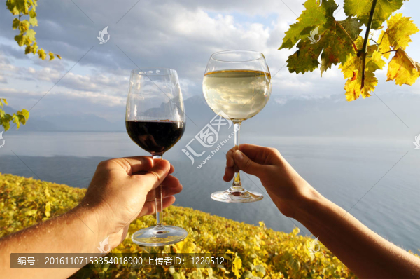 雙手拿著wineglases對(duì)Lavaux地區(qū)的葡萄園；瑞士