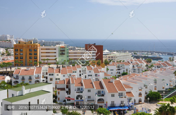 Costa,Adeje度假。特內里費島；金絲雀