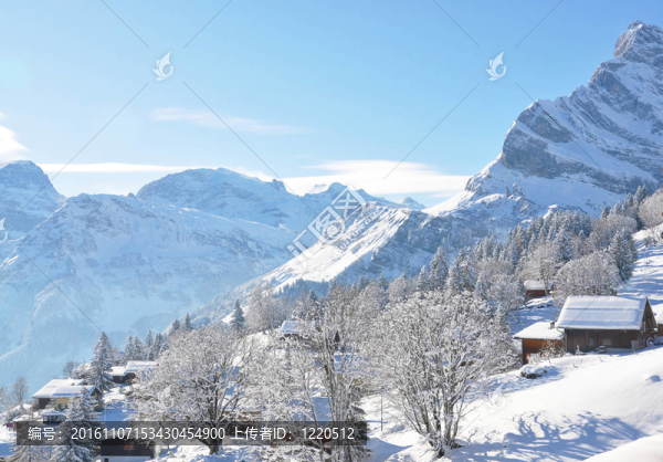 Braunwald；瑞士著名的滑雪勝地