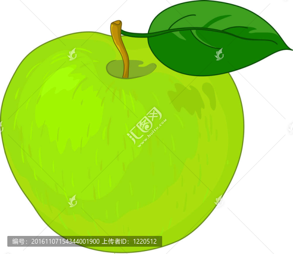 蘋果果實；