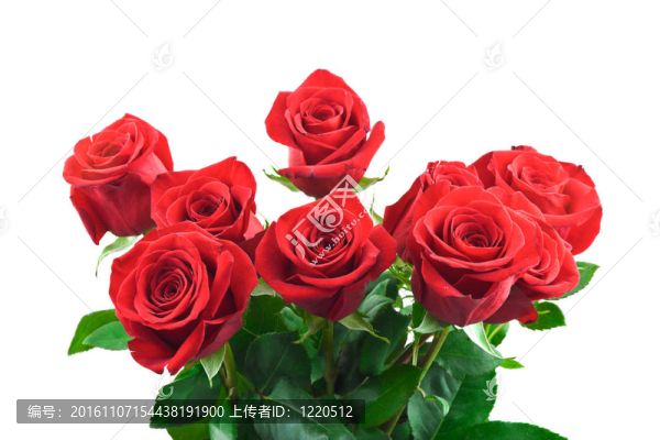 玫瑰花束