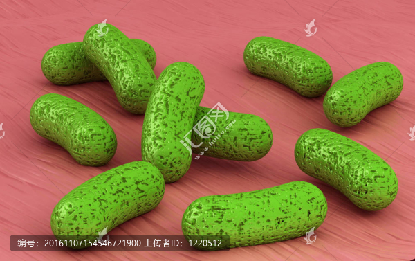 3d細(xì)菌在顯微鏡下