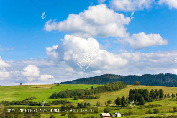 夏天的山景