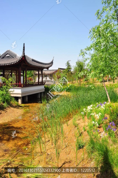 寺jinan9825