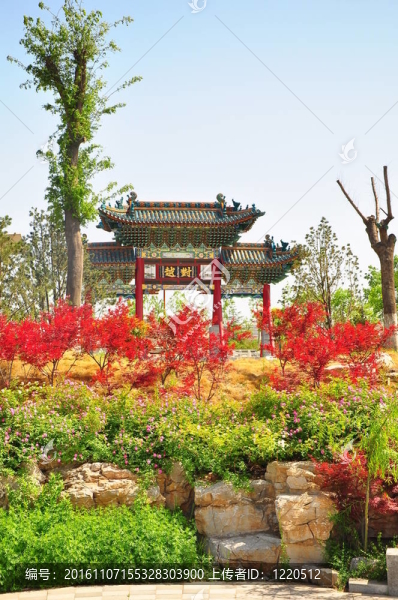 濟(jì)南寺9847