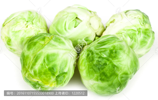 布魯塞爾豆芽