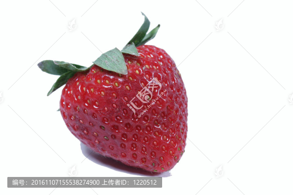 草莓