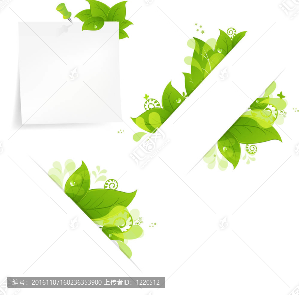 自然背景與樹葉和水滴