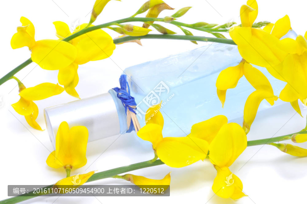 新鮮的氣味