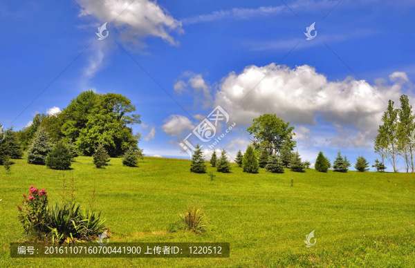 夏天的風景