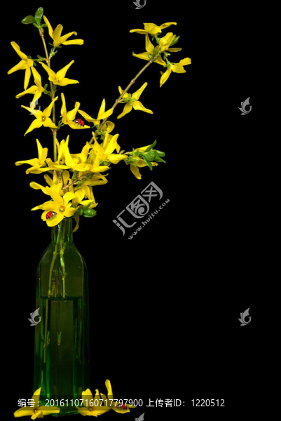 瓢蟲(chóng)花束