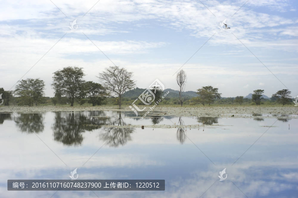 斯里蘭卡景觀