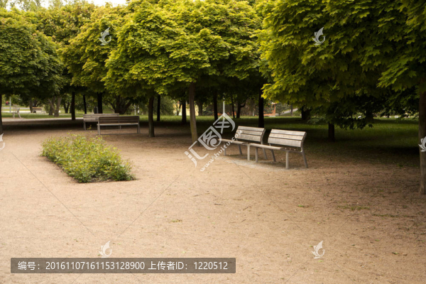 在公園的長椅上