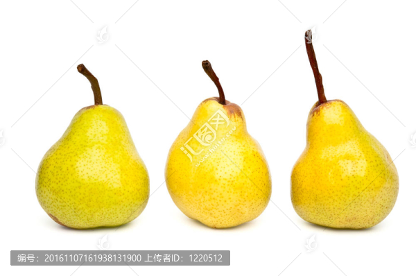 三派克漢姆梨