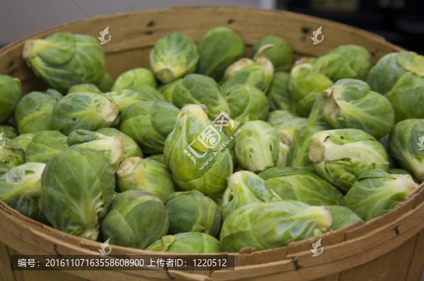 球芽甘藍(lán)