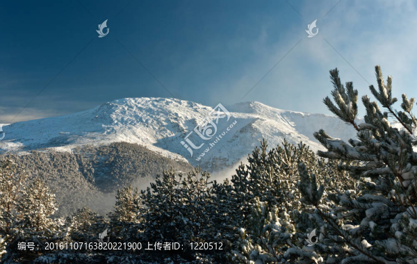 山頂景觀通過(guò)樹(shù)冬季景觀雪季節(jié)