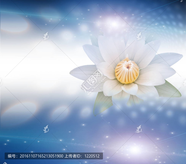 蓮花白