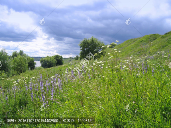 夏天的風景