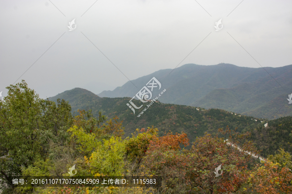 北京香山局部風(fēng)光