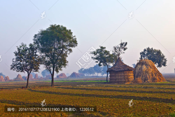 清晨農(nóng)民的小屋