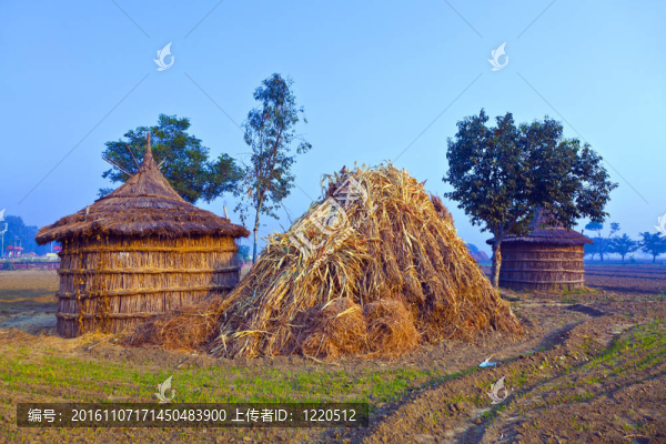 清晨農(nóng)民的小屋