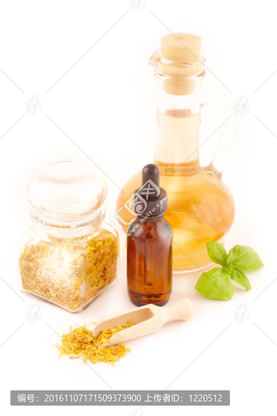 干caledula厚樸花瓣與浸漬油