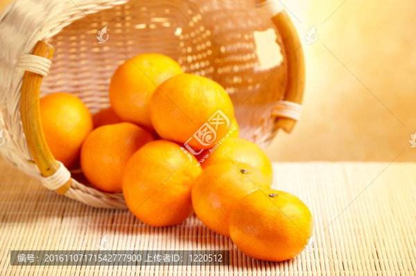 橘子收成時(shí)