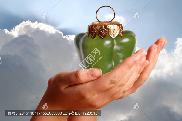 甜椒在年輕女人的手