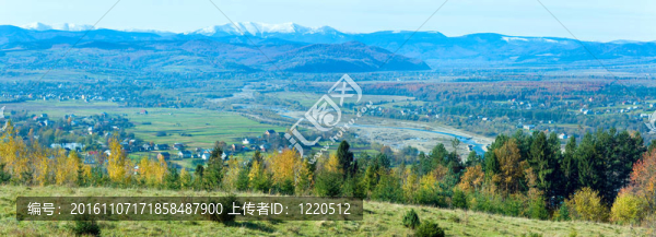 秋山村的霧晨