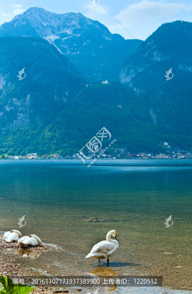 高山夏季湖泊景觀